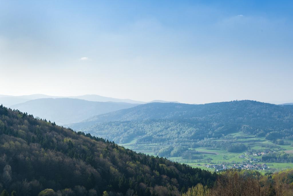 Panorama-Landgasthof Ranzinger Schöfweg Buitenkant foto